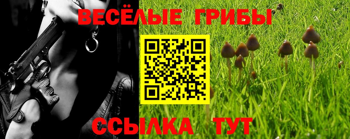 Псилоцибиновые грибы прущие грибы Железноводск